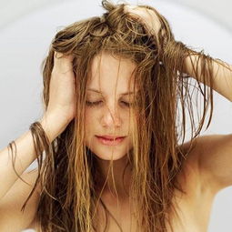 洗头也能洗谢顶 八大错误观念导致脱发